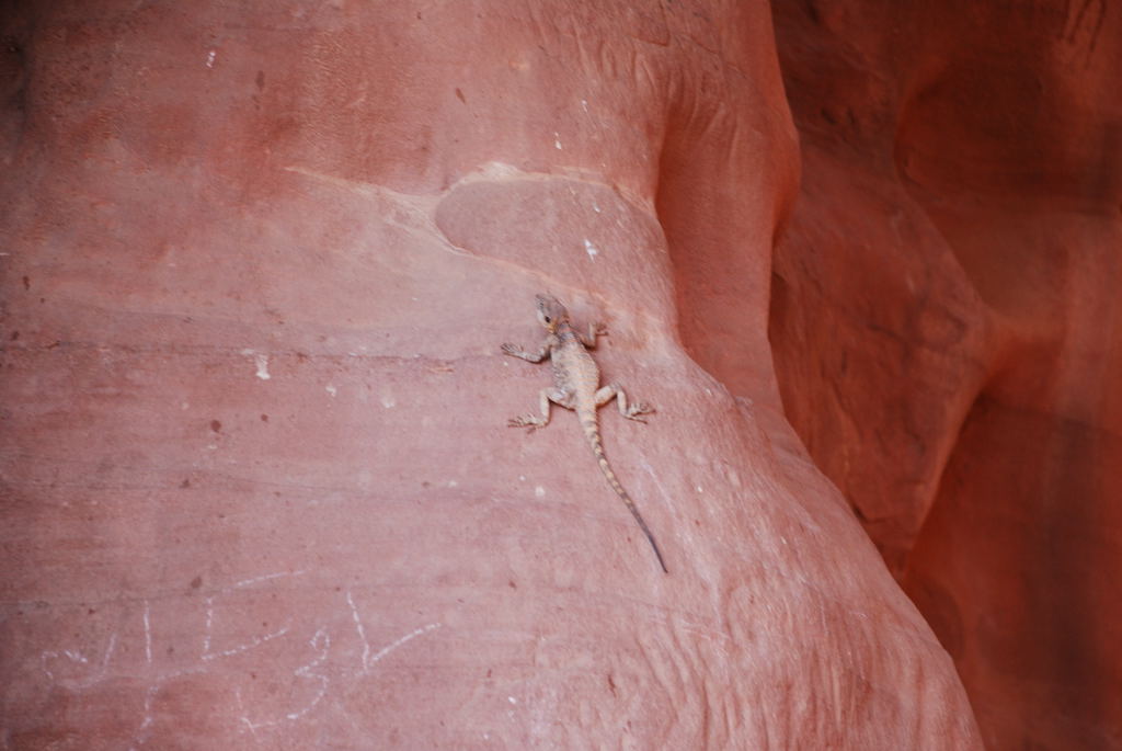 Wadi Rum